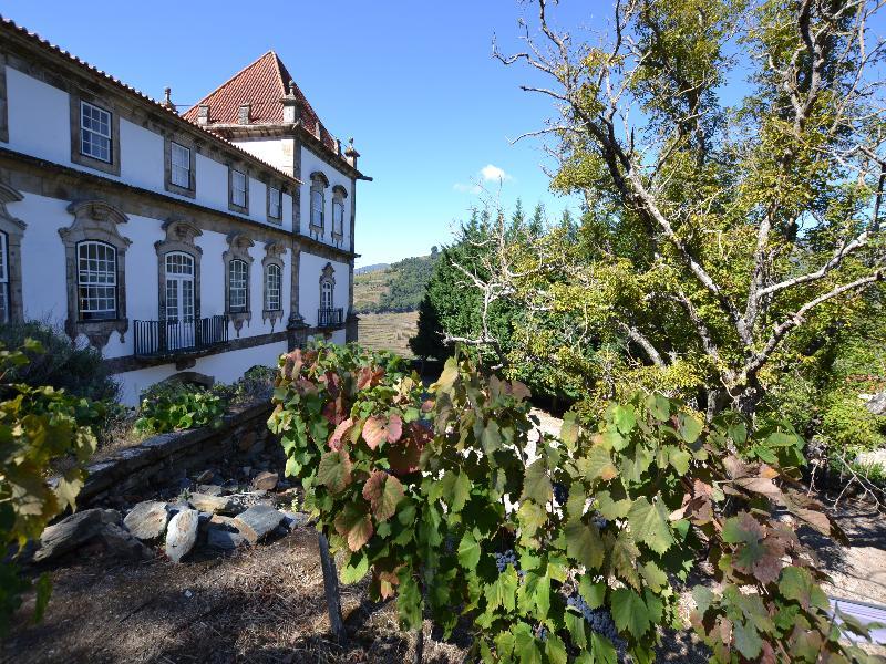 Casa Das Torres De Oliveira Mesão Frio Esterno foto