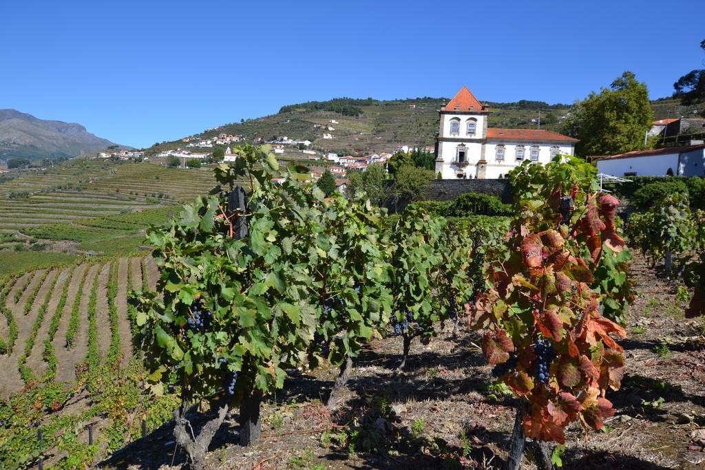 Casa Das Torres De Oliveira Mesão Frio Esterno foto