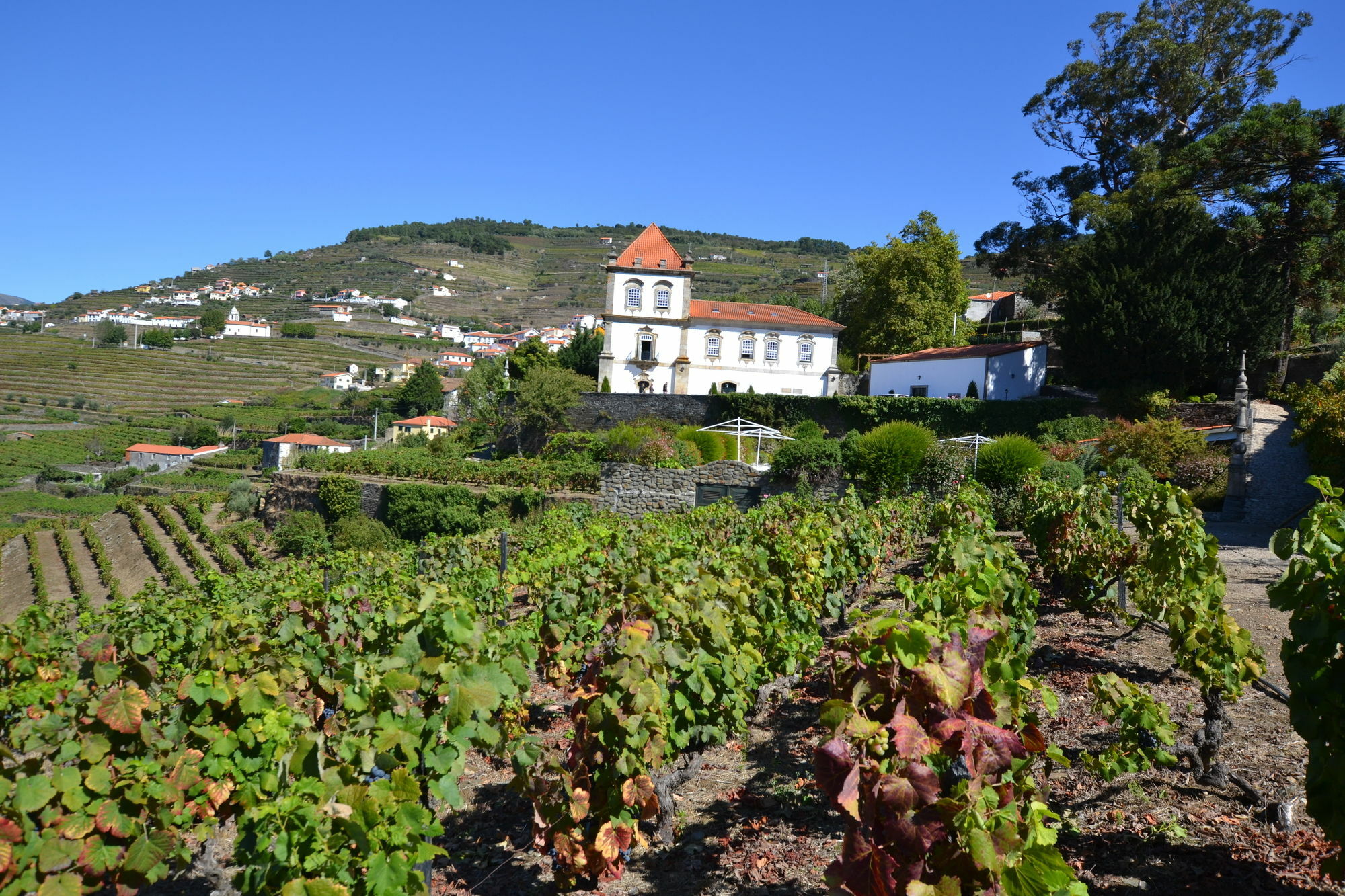 Casa Das Torres De Oliveira Mesão Frio Esterno foto