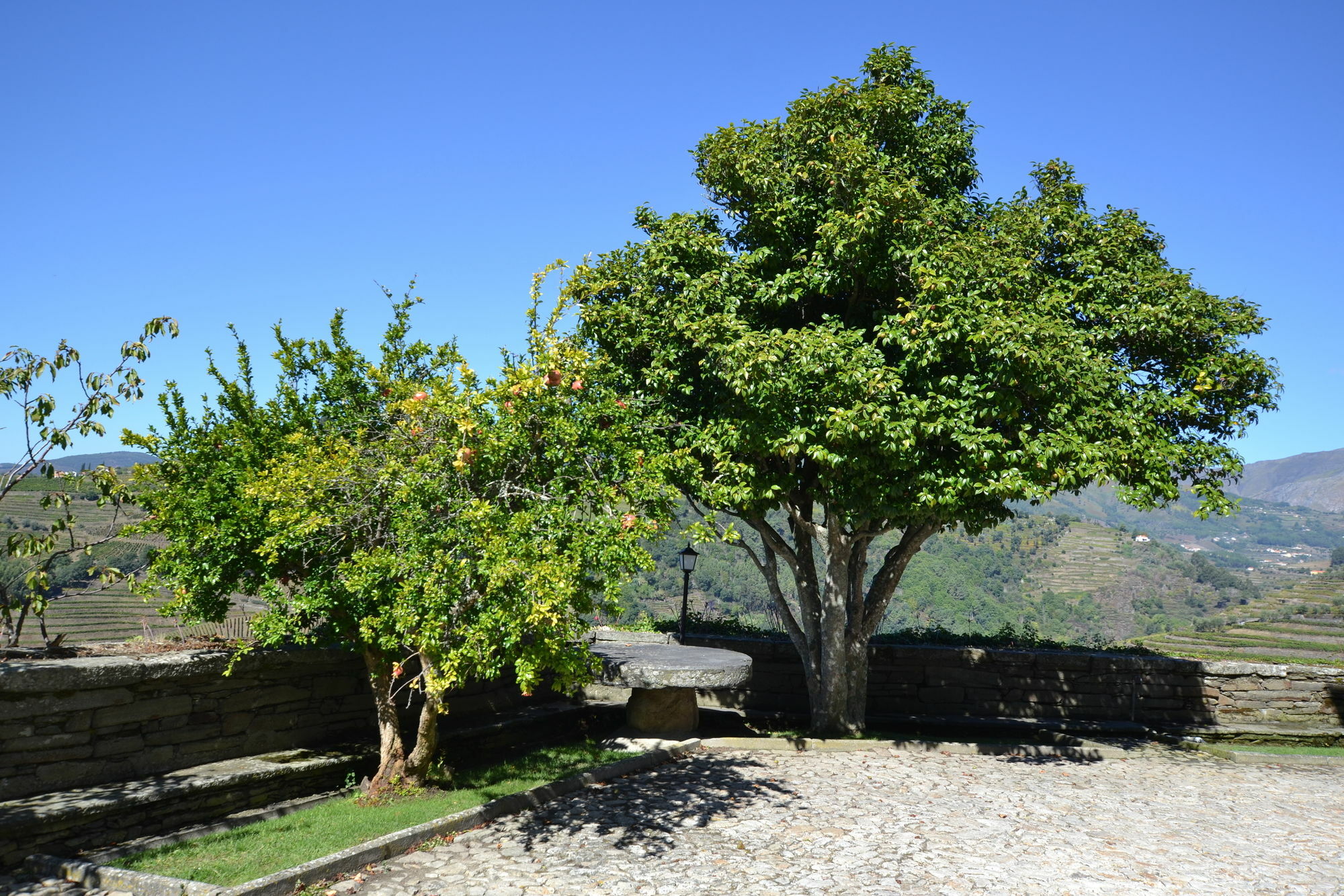 Casa Das Torres De Oliveira Mesão Frio Esterno foto