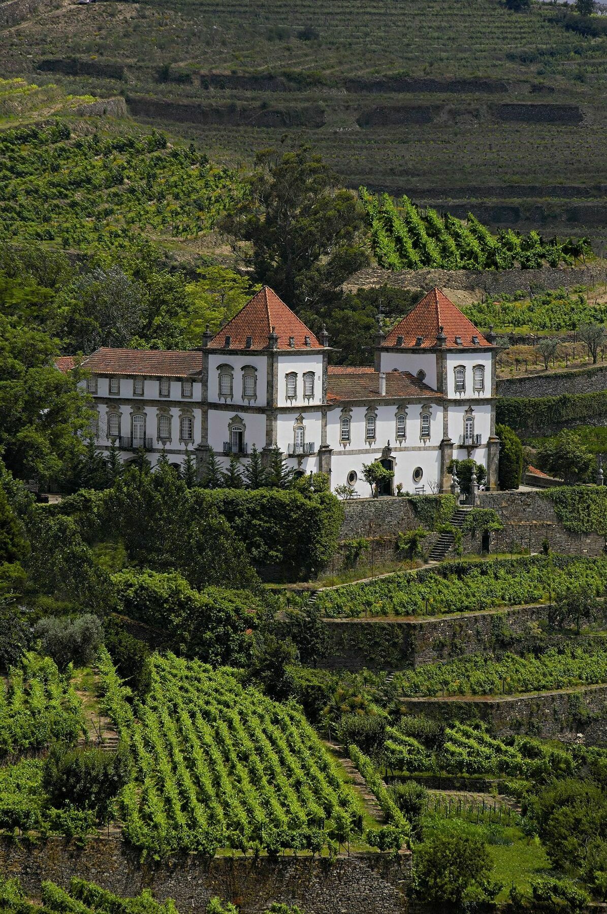 Casa Das Torres De Oliveira Mesão Frio Esterno foto